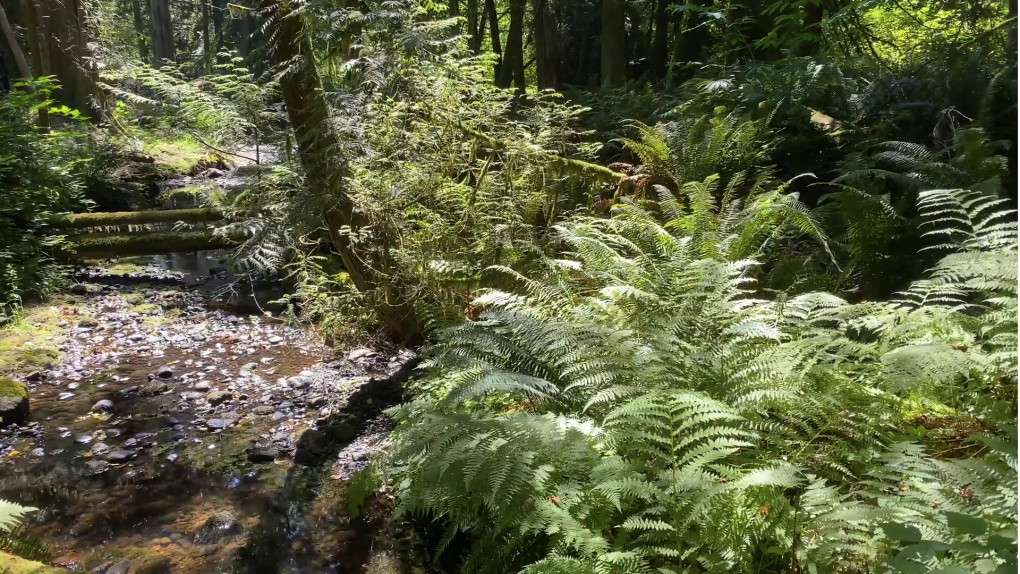 Guided Practice for Postpartum Body Image