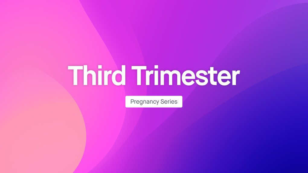 FB Pregnancy Series: Third Trimester Phase